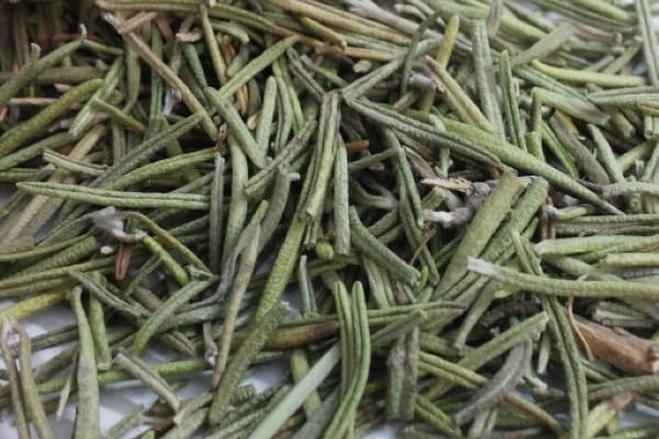 تصویر 2 از خرید گیاه رزماری خشک شده + قیمت عالی باکیفیت